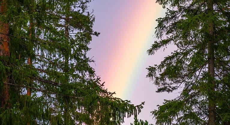 De regenboog – Mieke van Hooft 