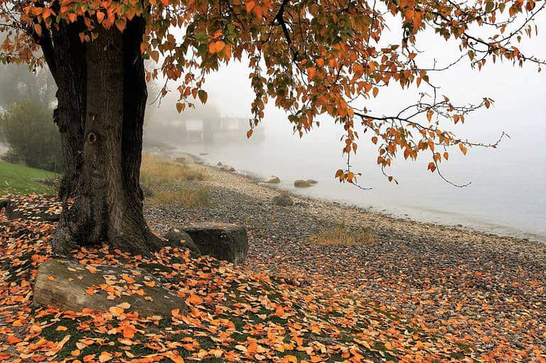 Titel onbekend – Dichter onbekend