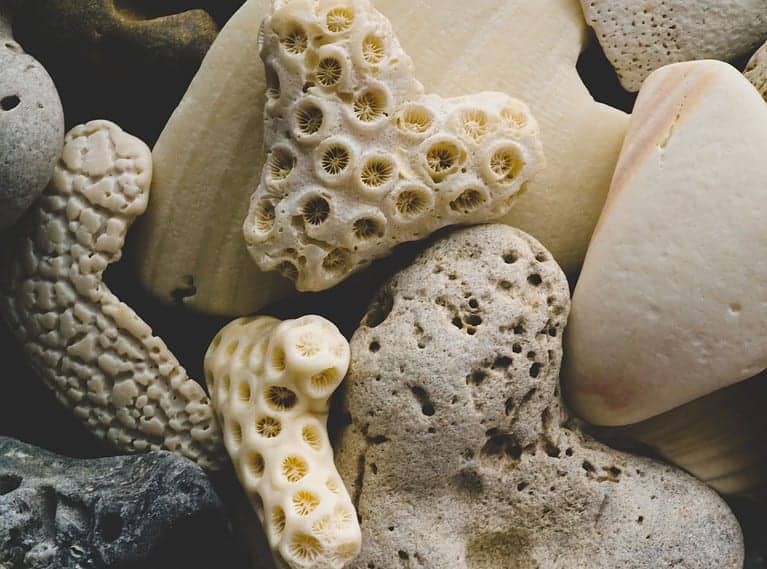 Titel onbekend – Auteur onbekend