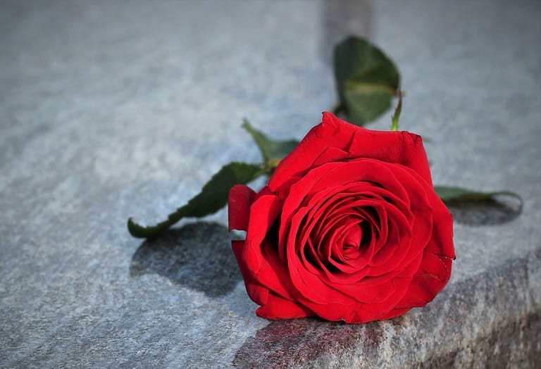 Een jaar – Margreeth Ras