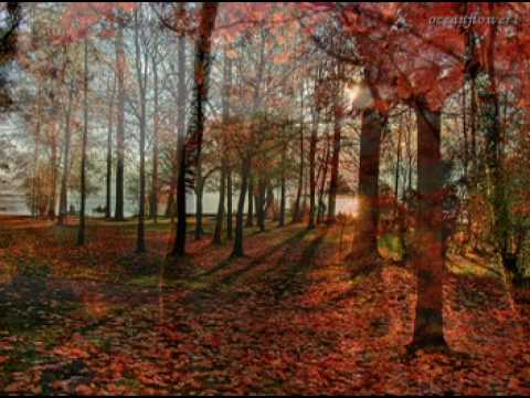 Secret Garden – Adagio